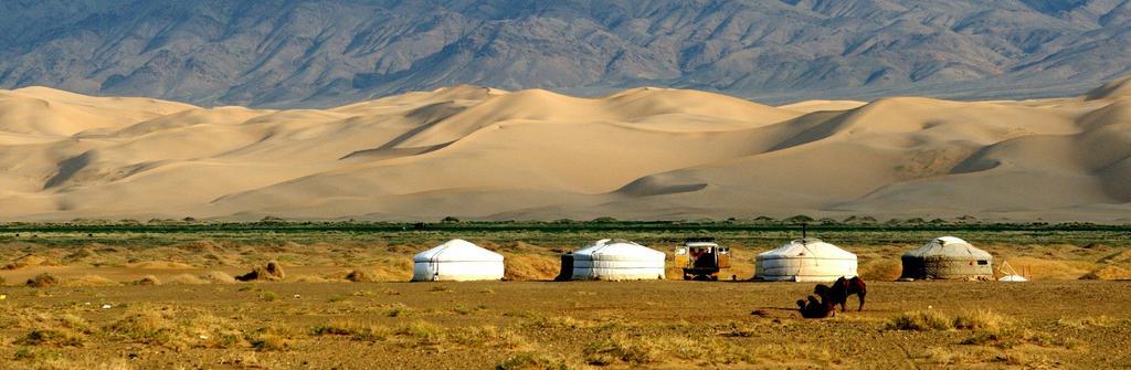 أولان باتور Majestic Gobi Tour Operator And Guest House المظهر الخارجي الصورة